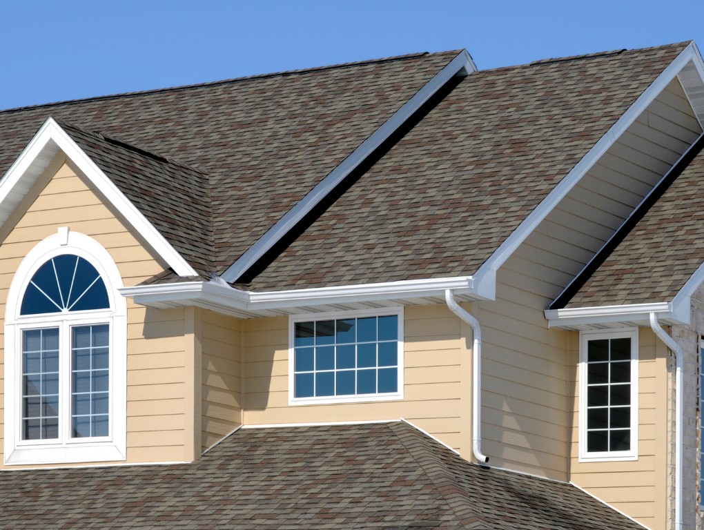 shingle roof replacement company in Denver