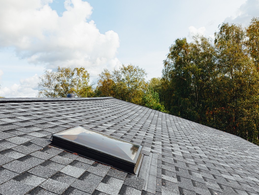 shingle roof replacement contractors in Denver